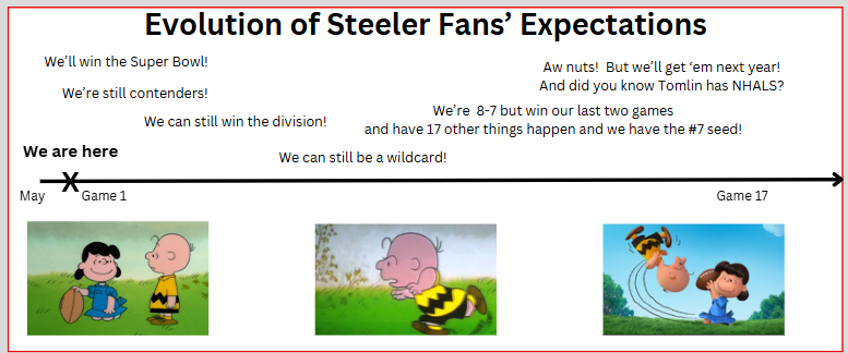 Steelers fans Preseason.png